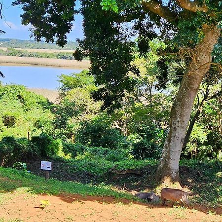 Estuary Views At 6 The Bridge Apartamento Saint Lucia Estuary Exterior foto